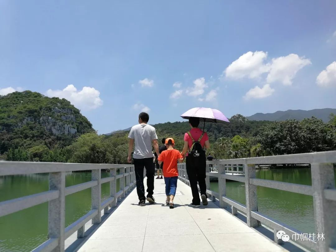 花开漓江丨我的挂职岁月