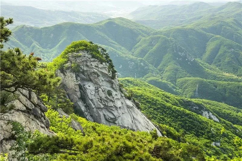 玩遍大连丨零距离接触大自然一定是很多人的选择，一起去普兰店看看吧。