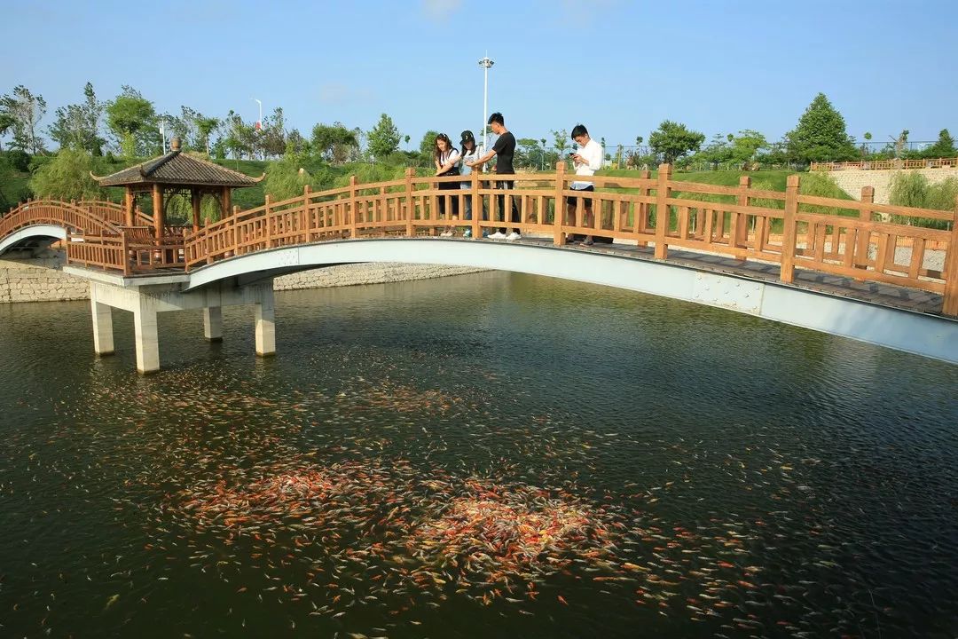 玩遍大连丨零距离接触大自然一定是很多人的选择，一起去普兰店看看吧。