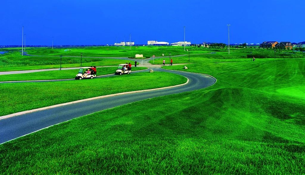 美景美食不虚此行,美景美食美不胜收