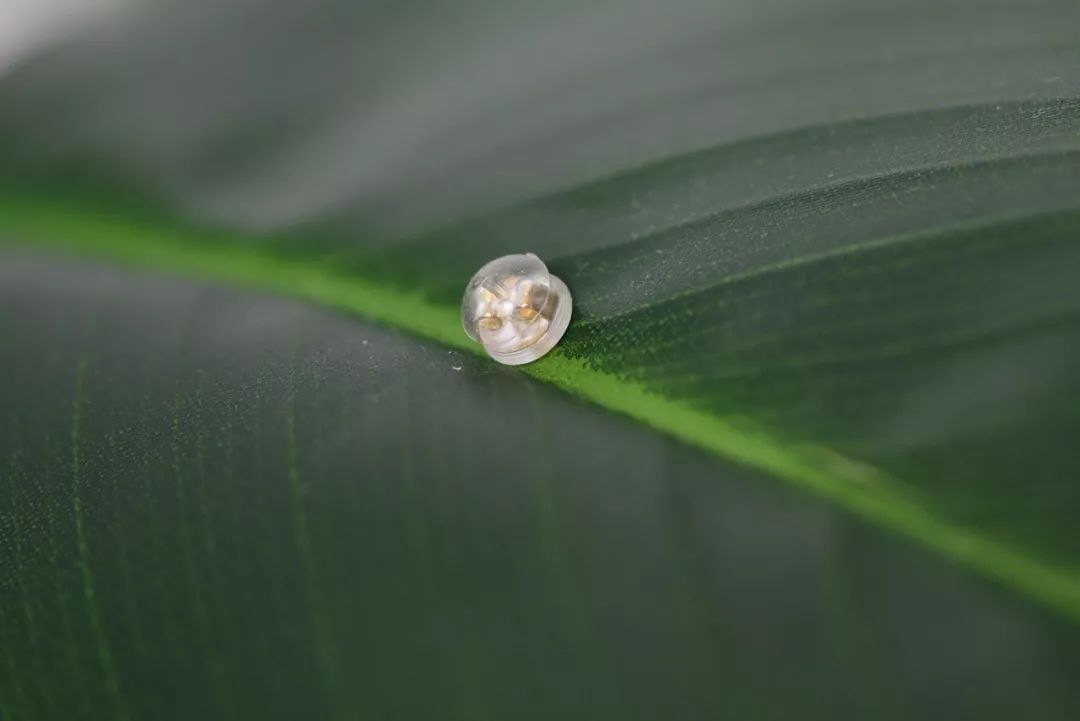 珍珠三圈耳环,耳饰珍珠推荐