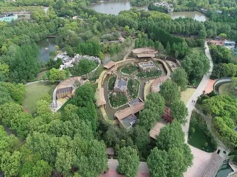 上海野生动物园游览攻略,上海野生动物园的旅游路线示意图