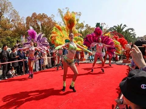 上海野生动物园游览攻略,上海野生动物园的旅游路线示意图