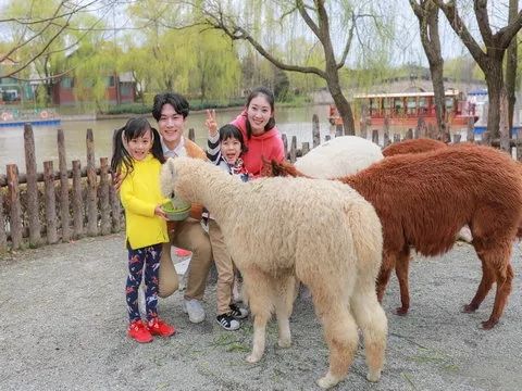 上海野生动物园游览攻略,上海野生动物园的旅游路线示意图