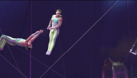 上海野生动物园游览攻略,上海野生动物园的旅游路线示意图