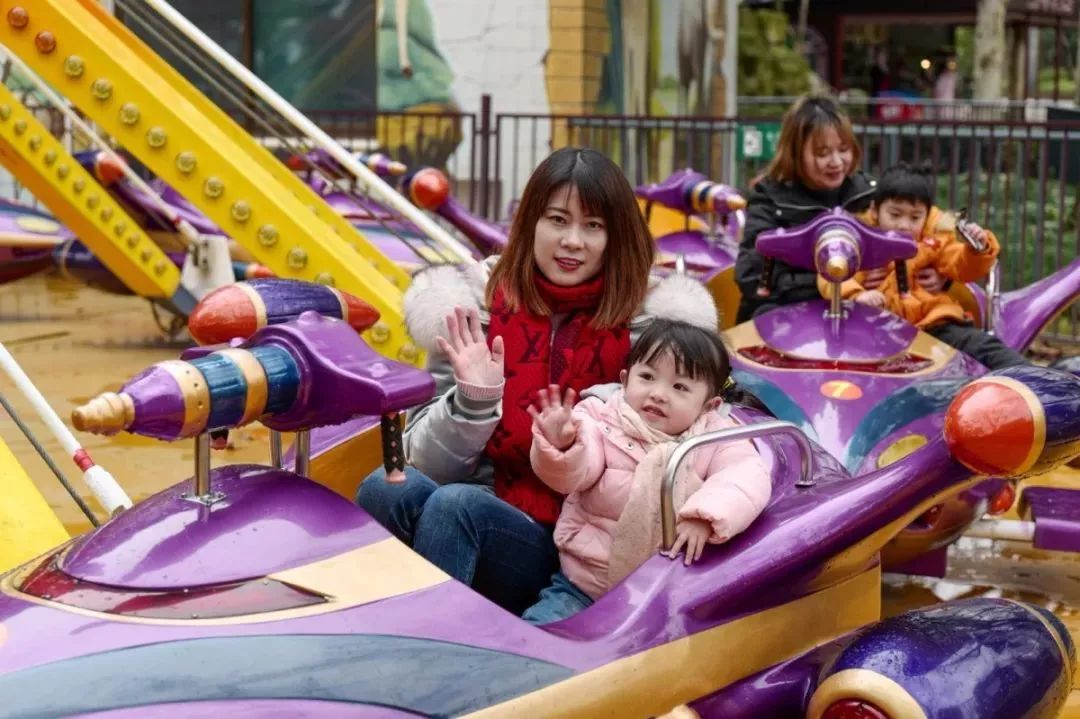 上海野生动物园游览攻略,上海野生动物园的旅游路线示意图