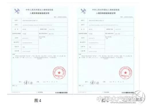 桉树精油防霉剂,美国多特瑞乐桉树精油