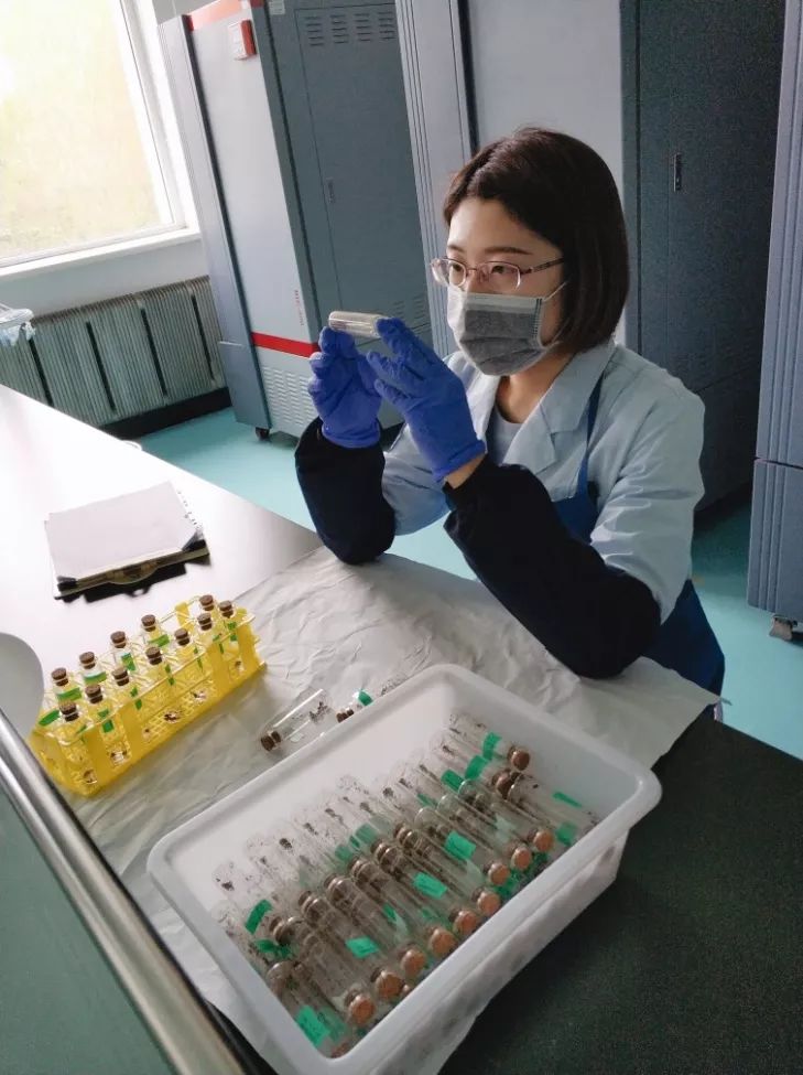 钢铁侠有战甲，灭霸有手套，中化人的劳动神器是？