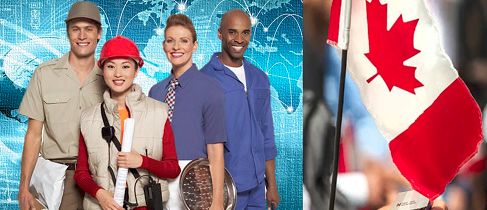 出国那么好?上海5套房的姑娘在加拿大给人洗脚,大学教授切肉博士生扫地