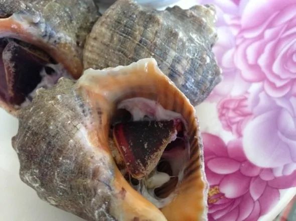 大连最新管控时间,大连最新重要通告