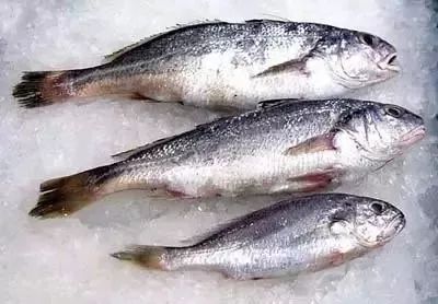 大连最新管控时间,大连最新重要通告