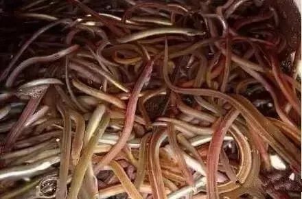 大连最新管控时间,大连最新重要通告