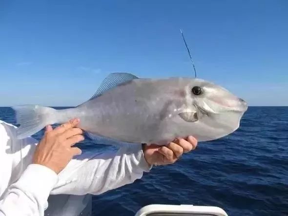 大连最新管控时间,大连最新重要通告