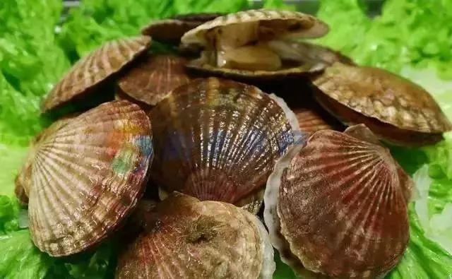 大连最新管控时间,大连最新重要通告