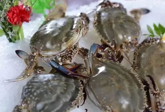 大连最新管控时间,大连最新重要通告