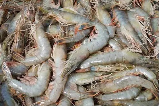 大连最新管控时间,大连最新重要通告