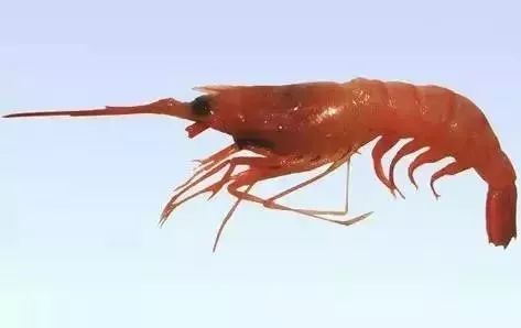 大连最新管控时间,大连最新重要通告