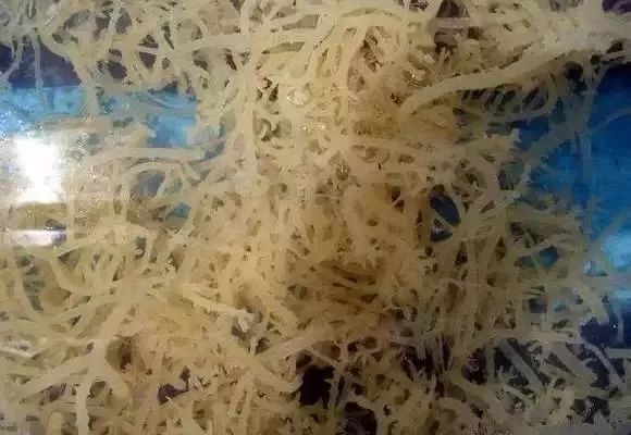 大连最新管控时间,大连最新重要通告