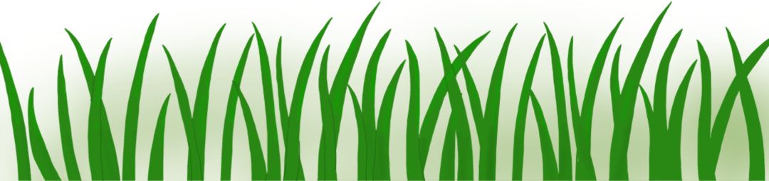 监测市场，既要培育好，也要规范好——专访聚光科技（杭州）股份有限公司总经理孙越