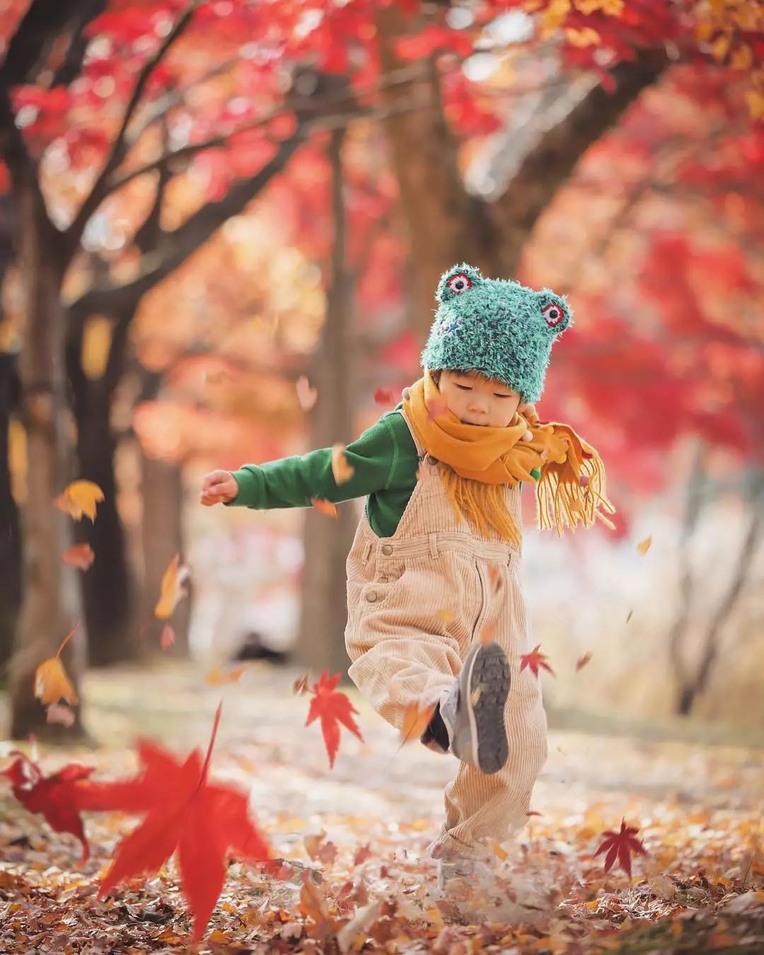 日本爸爸把男孩子拍出宫崎骏 (日本老爸把女儿拍到宫崎骏)