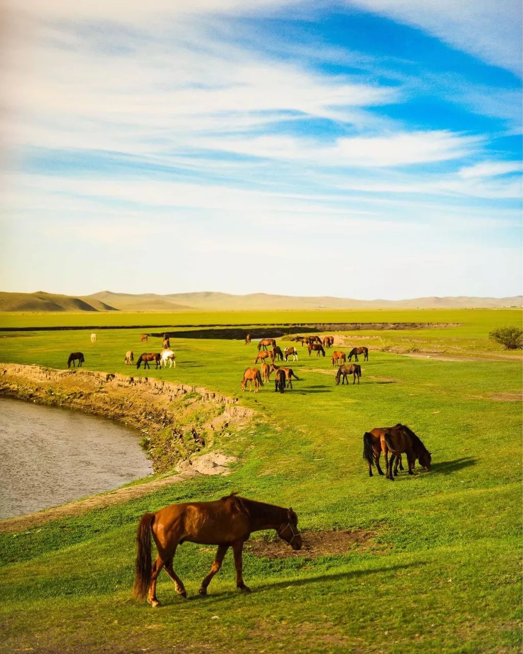 一个人说走就走旅行清单,一个人的旅行清单不用等最爱的人