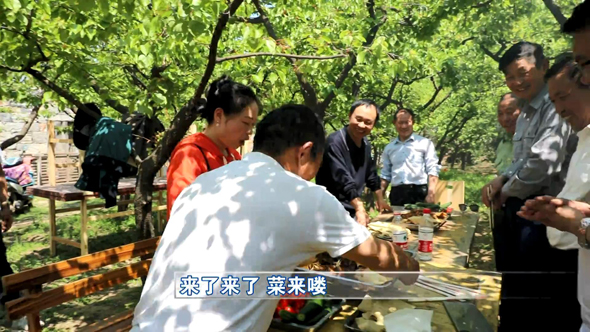 河南老家淅川乡愁,河南老家乡音乡愁