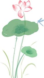 您好，这里是成县！