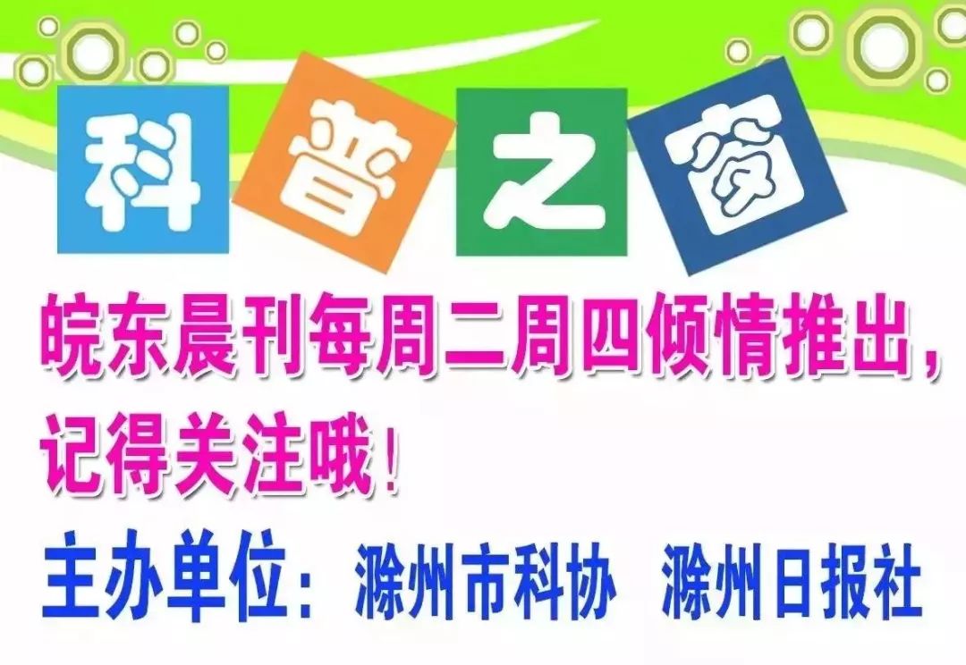 杨柳絮有什么副作用,杨柳絮的副作用和危害