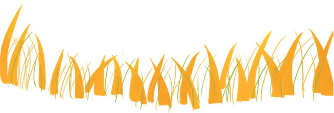 来丽水青田游玩,青田秋游