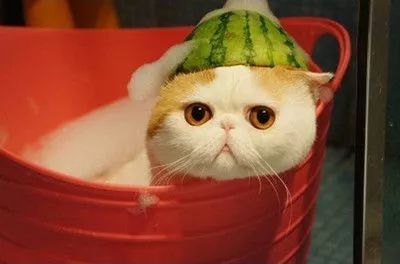 电热水器换燃气热水器方便吗,电热水器和燃气热水器哪种好