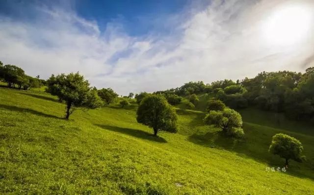 银川到关山草原自驾游攻略,关山草原自驾一日游攻略