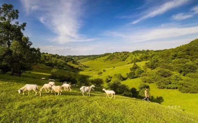银川到关山草原自驾游攻略,关山草原自驾一日游攻略