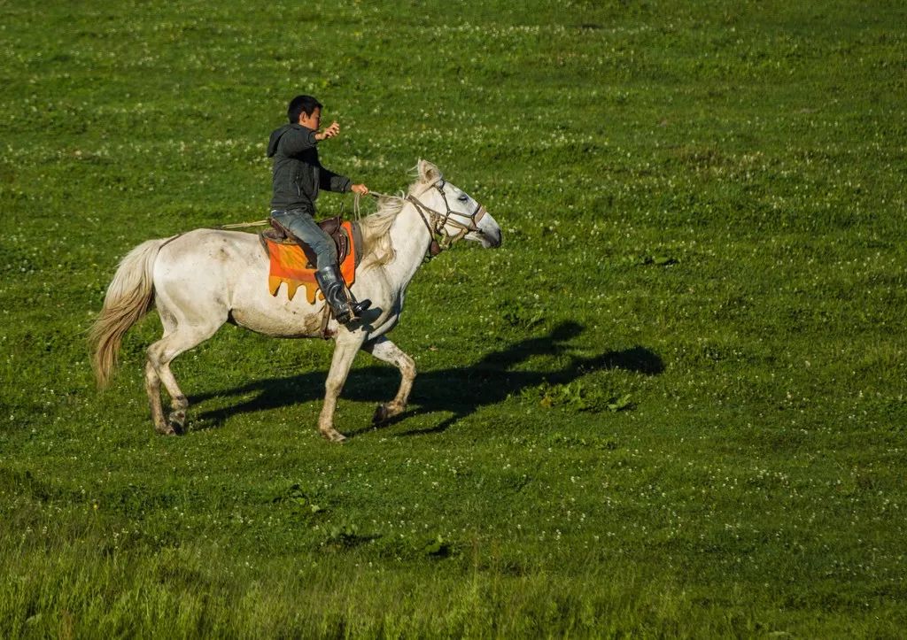 银川到关山草原自驾游攻略,关山草原自驾一日游攻略