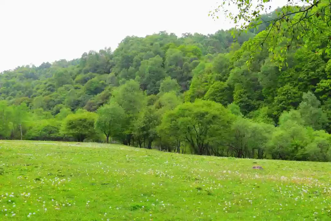 银川到关山草原自驾游攻略,关山草原自驾一日游攻略
