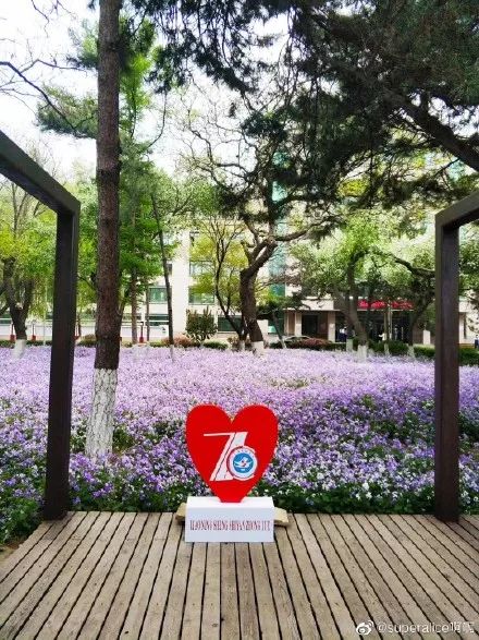 @辽宁省实验中学的毕业生，母校有大事儿发生，速回！