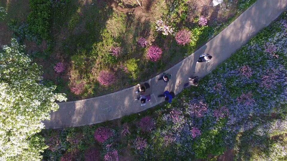 @辽宁省实验中学的毕业生，母校有大事儿发生，速回！