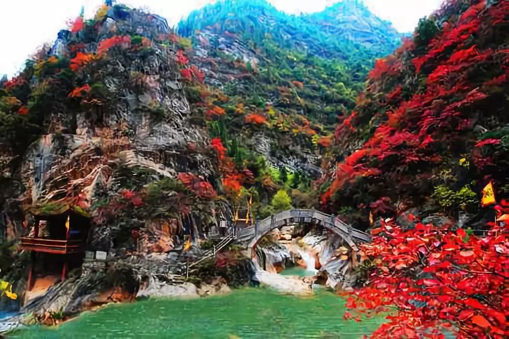 您好，这里是成县！