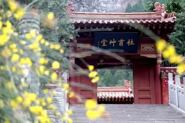 您好，这里是成县！