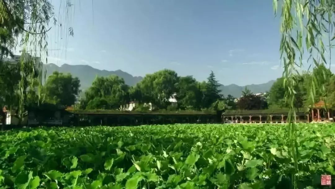 您好，这里是成县！