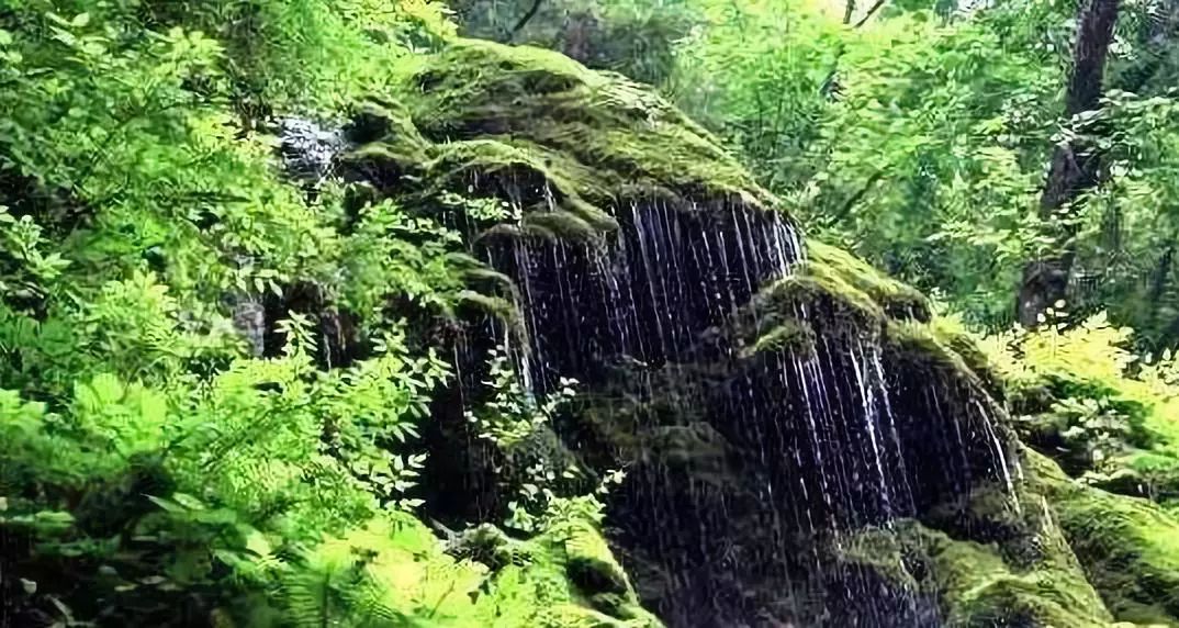 您好，这里是成县！