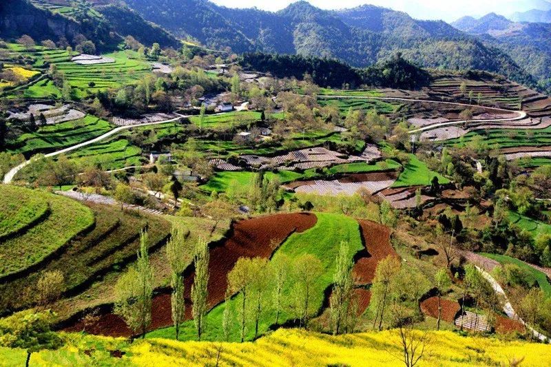 您好，这里是成县！