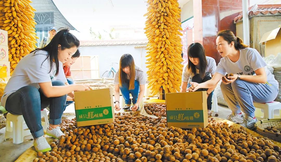 您好，这里是成县！