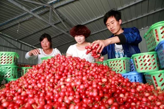 您好，这里是成县！