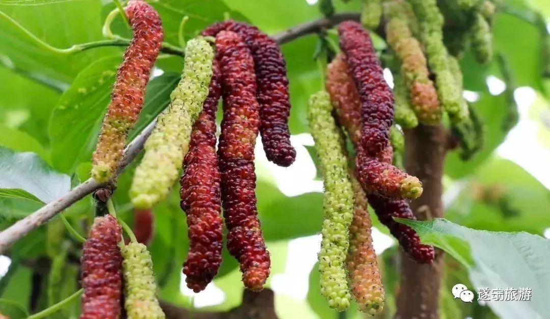 五一嗨起来山东济南,五一节嗨起来视频