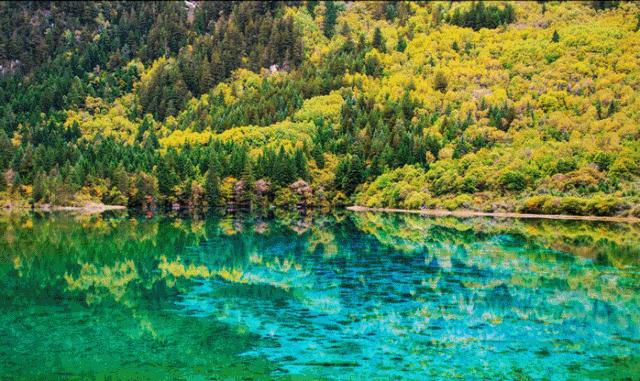 这个五一准备去哪玩,你们五一出游去哪里呢