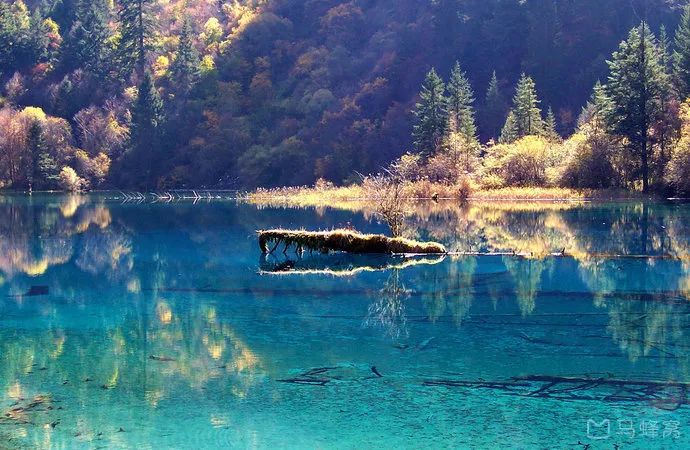 这个五一准备去哪玩,你们五一出游去哪里呢