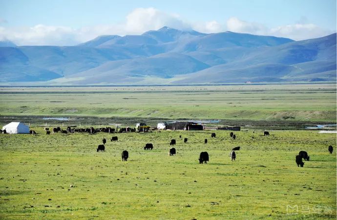 这个五一准备去哪玩,你们五一出游去哪里呢