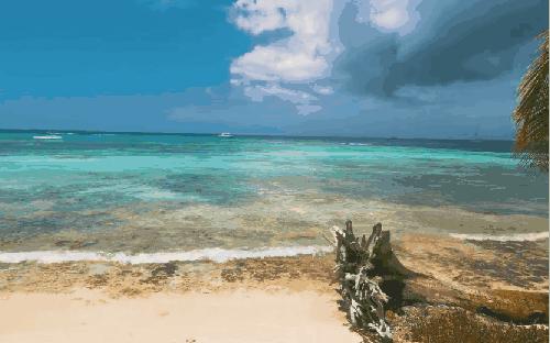 正宗海南椰子汁喝了又白又大,海南椰子的汁怎么做