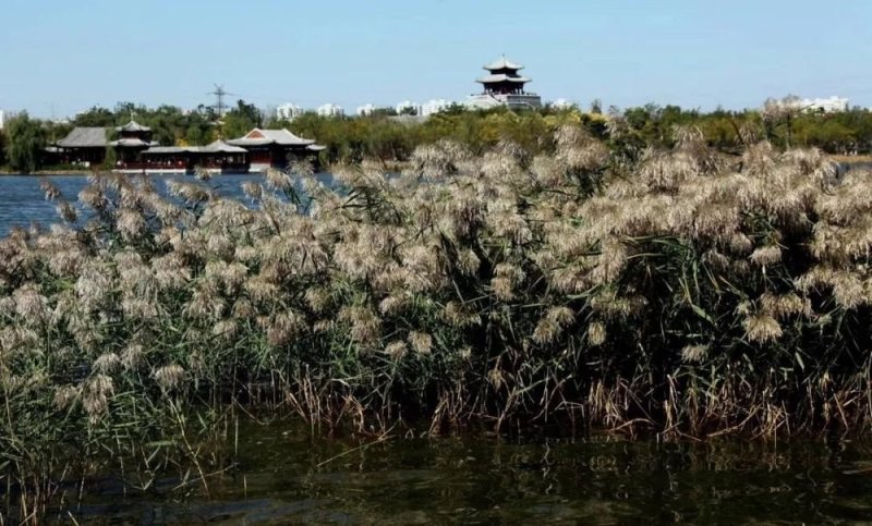 水西公园五一开园,水西公园最新消息