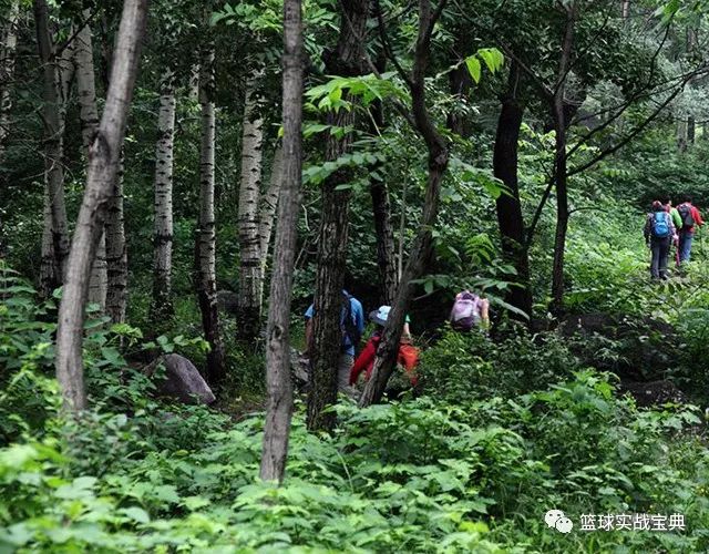 日本黑科技隐形蚊帐随手一挂,最新黑科技蚊帐